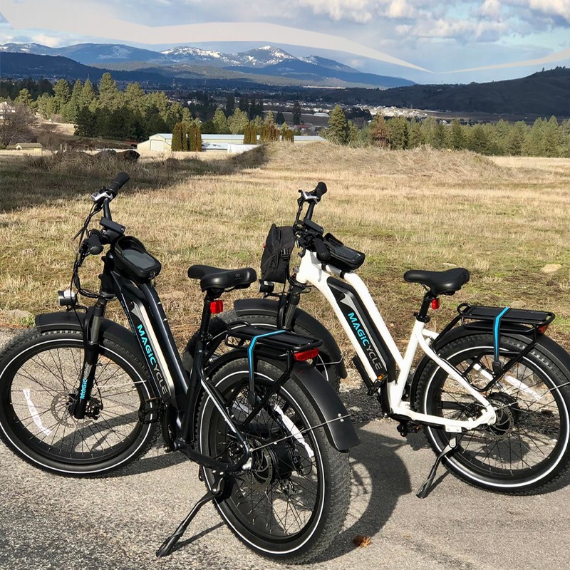 Combo Sale - Magicycle Cruiser 52V 750W Mountain EBike - Midnight Blue & Pearl White - Canada Only