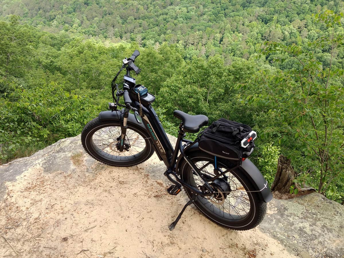 What Is the Best Electric Bike for Hunting in 2022