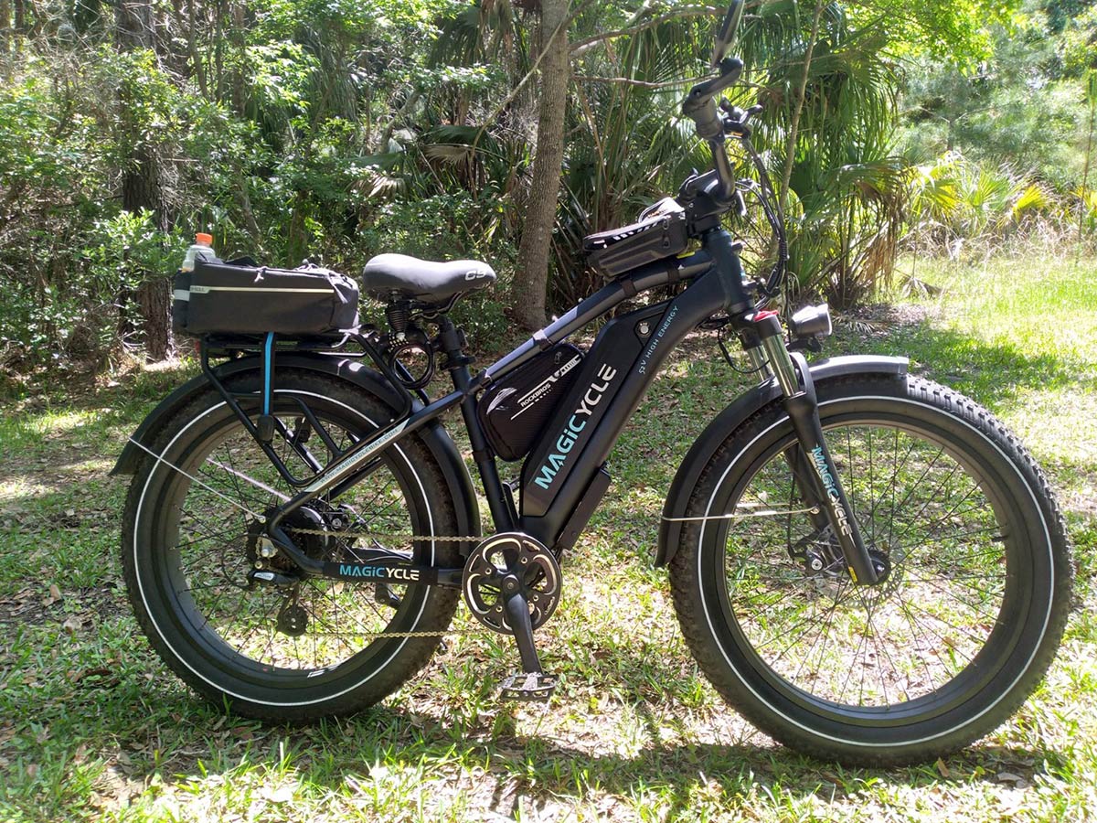 Everything You Want to Know About E-Bike Motors