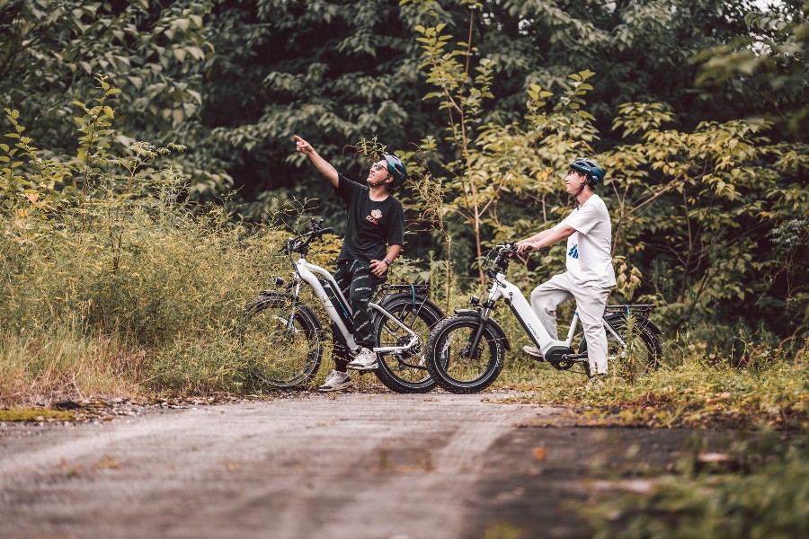 Long Range Electric Bikes — Magicycle Cruiser Pro and Ocelot Pro