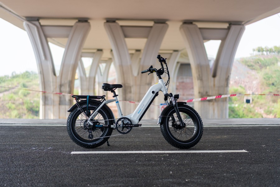 Best Ebike Motor: Which Type Is for You?