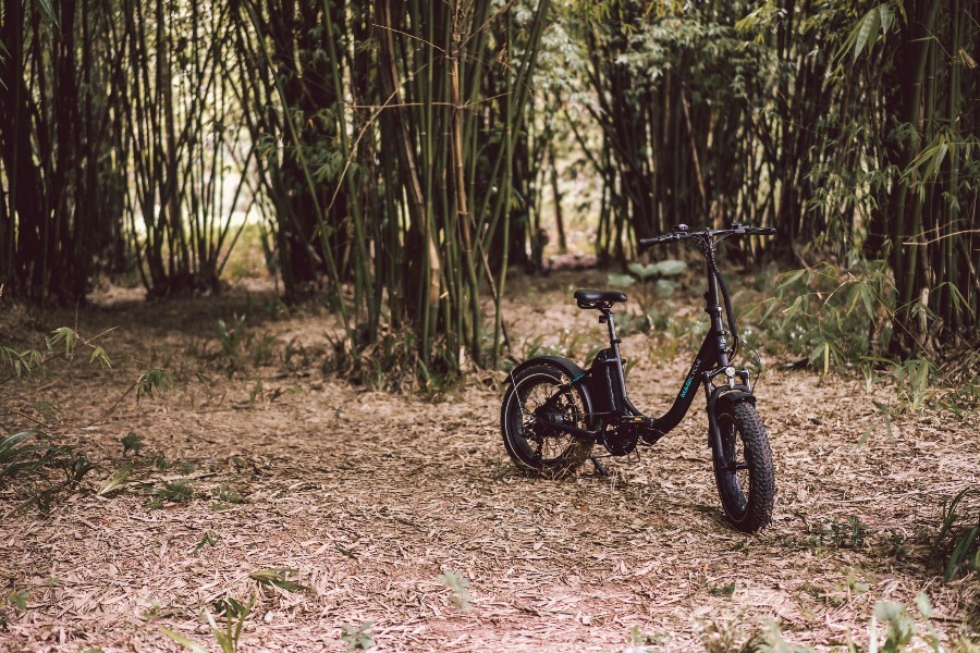 Are folding Ebikes worth it? Here is the Answer