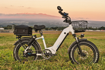 Magicycle Ebike SUV vs. Trek Powerfly 4: Which Electric Mountain Bike Is Better?